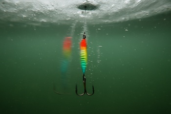 Close view of a lure pulsing up and down in cold water